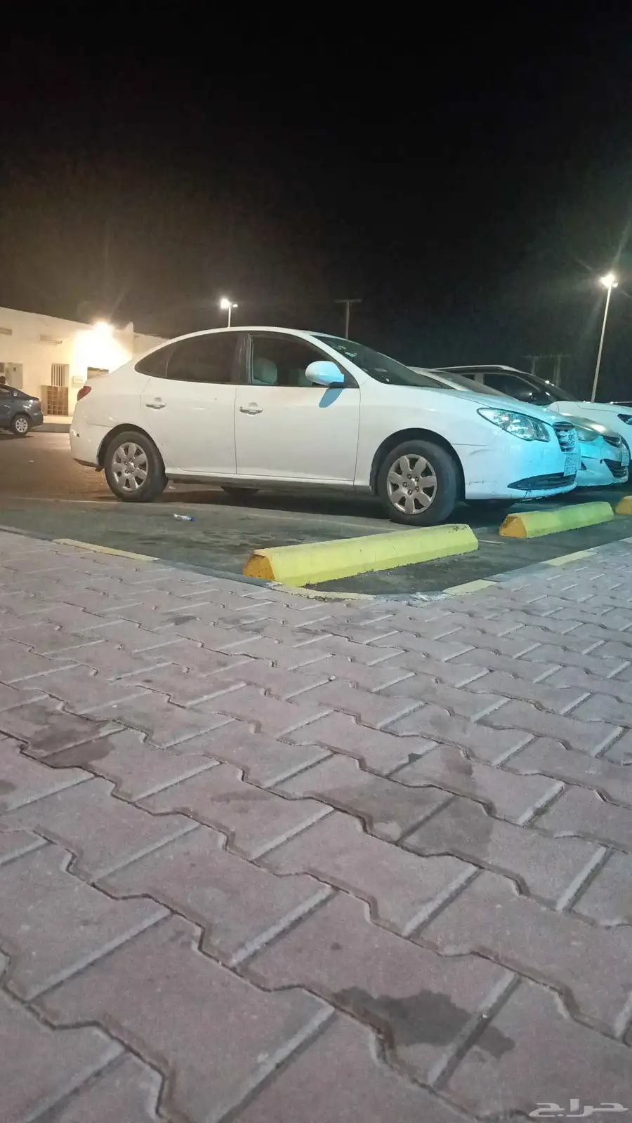 النترا 2012 1