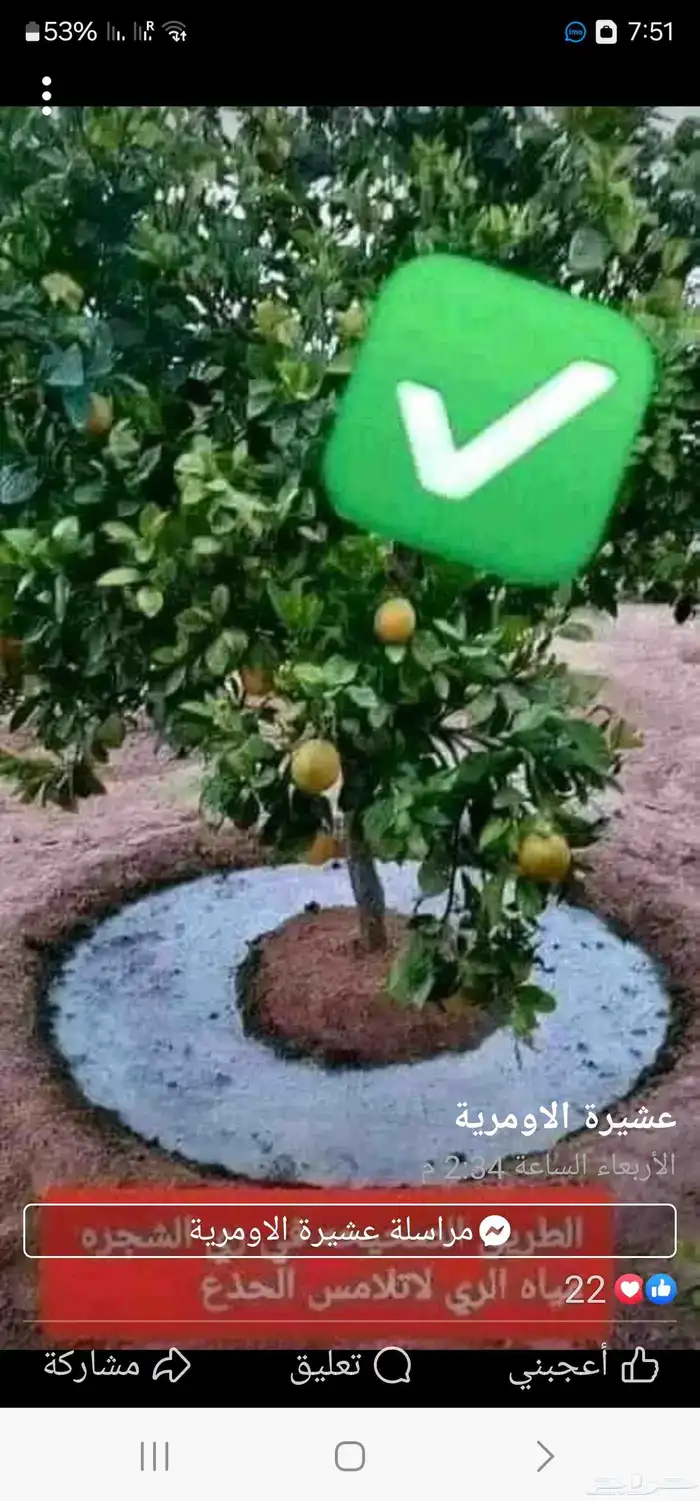 تنسيق حدائق حديثه في طبيعي وصناعي 5