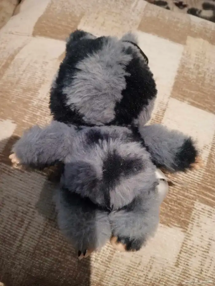 لابوبو للبيع 1