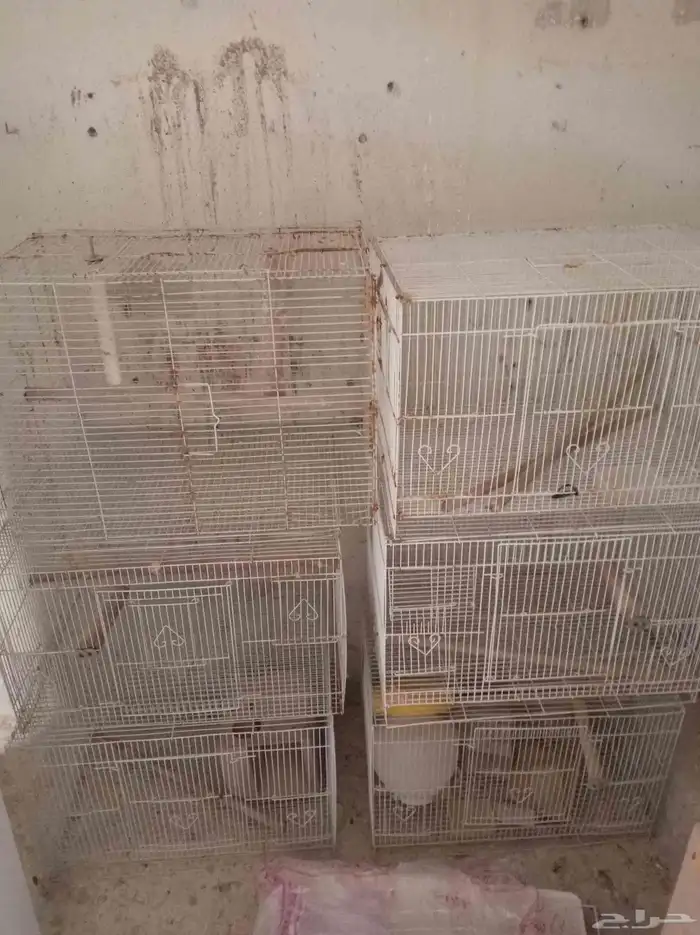 مستلزمات طيور زينه 4