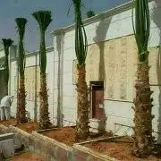 أعمال النخيل 10