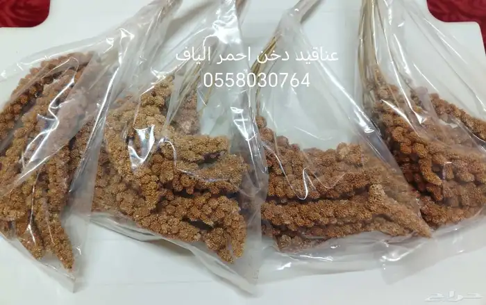 سيرلك للجميع انواع الفروخ 14