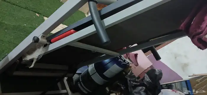 جهاز تمارين 1