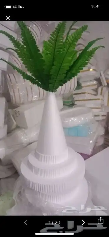 فلين تمور فلين حلويات تشكيلة التمور فلين 16