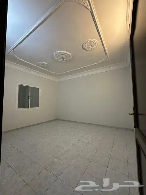 شقه للايجار 1