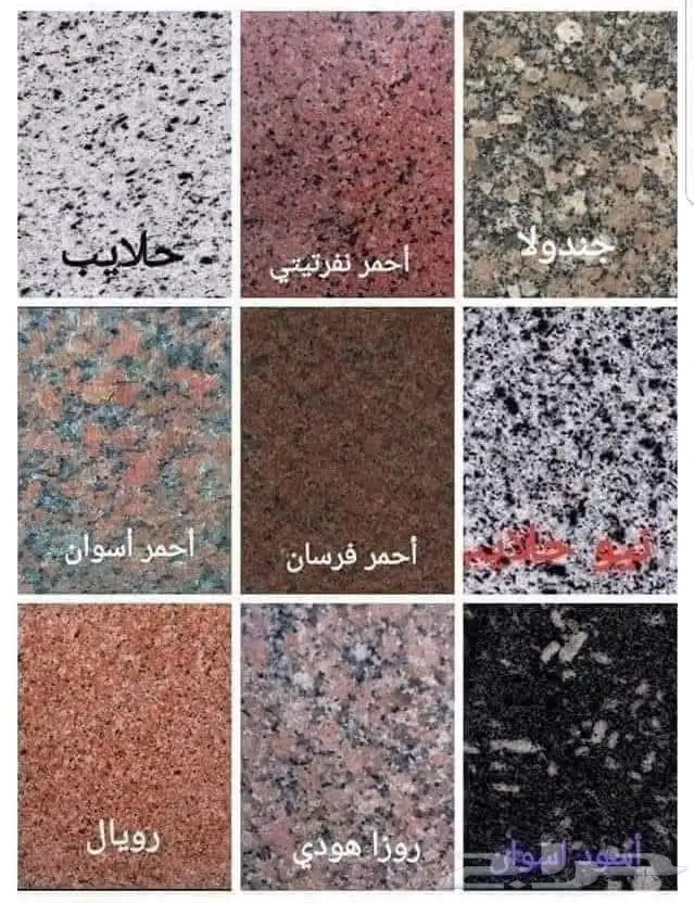 مشبات الرياض 8
