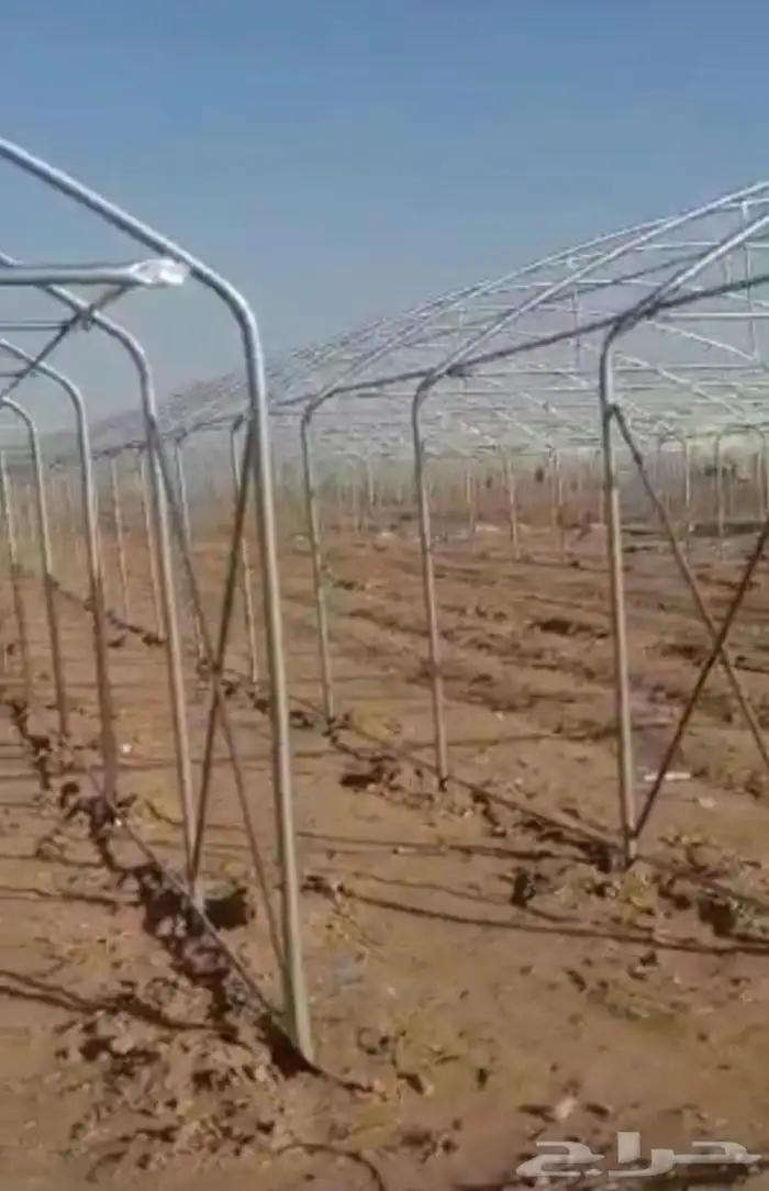 بيوت محمية بيوت محميه صالات 4