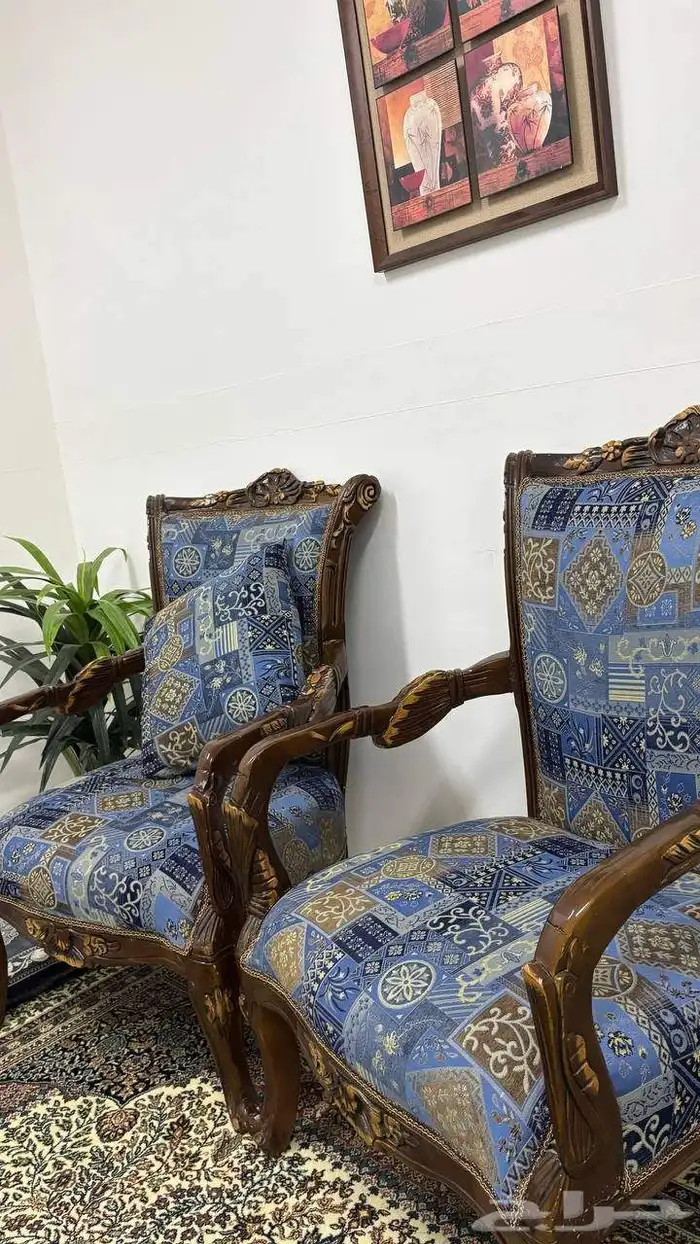 ادوات منزلية 2 كنب 3 اشجار كلها 1 صندوق مكتب بمفتاحه 0