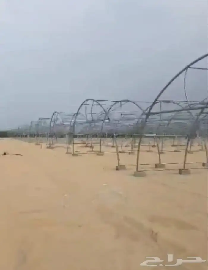 بيوت محمية بيوت محميه صالات 10