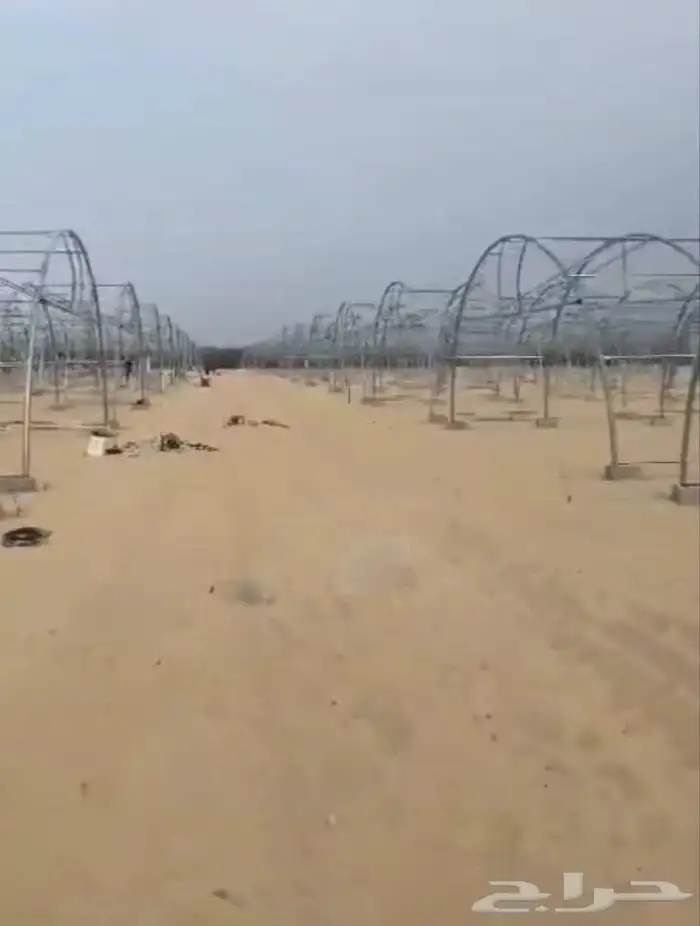 بيوت محمية بيوت محميه صالات 9