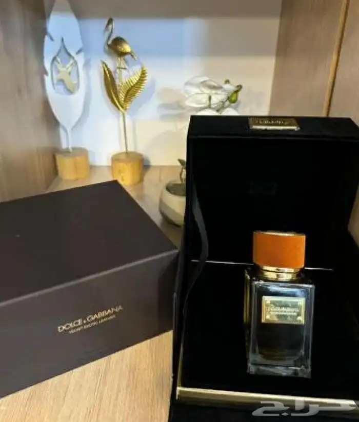 عطور دولتشي اند غابانا ماستر كواليتي 4