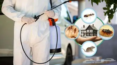 شركة تنظيف ومكافحه حشرات الدمام والخبر والقطيف 0