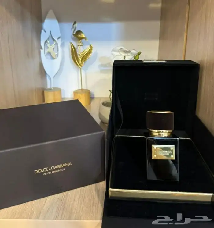 عطور دولتشي اند غابانا ماستر كواليتي 6