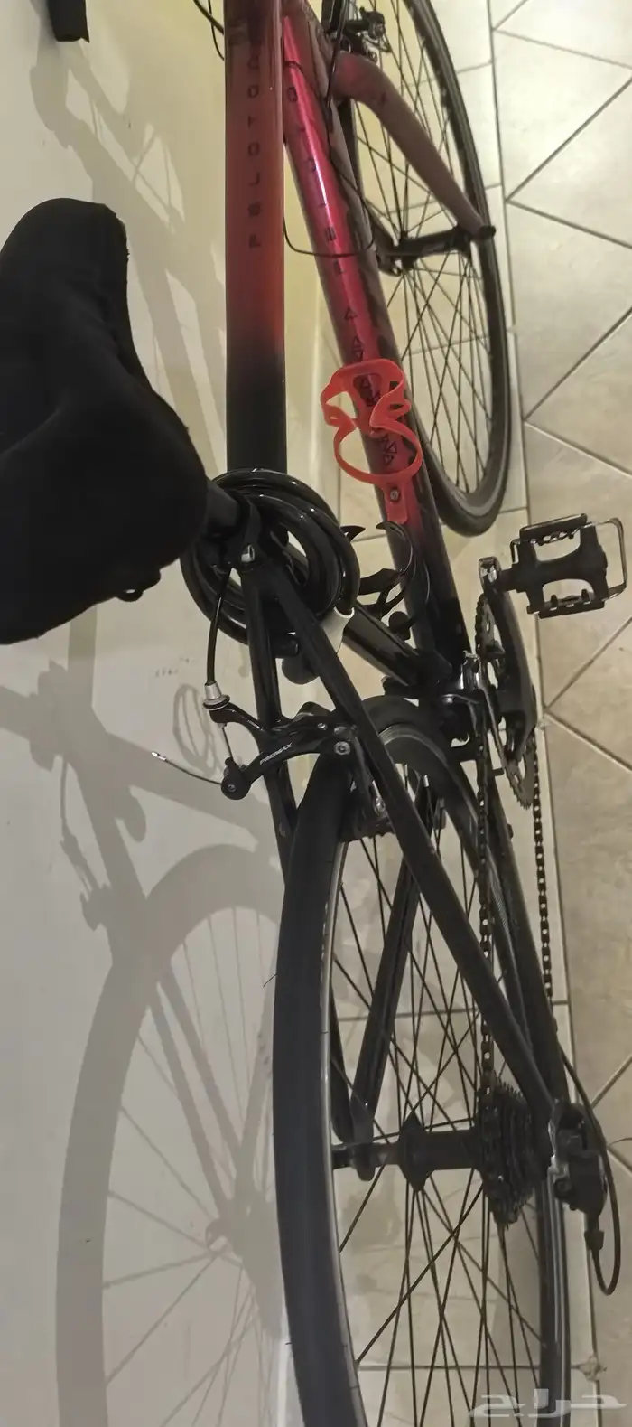 دراجه رود مقاس 50 ماركة سبارتان الأصليه 8