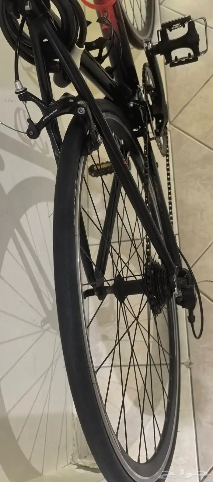 دراجه رود مقاس 50 ماركة سبارتان الأصليه 5