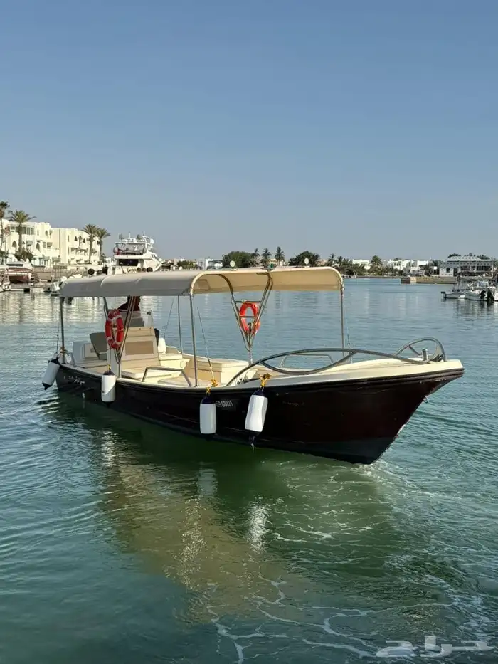 قارب سي لوفر لرحلات الصيد ورحلات بياضه مرسي دره العروس 0