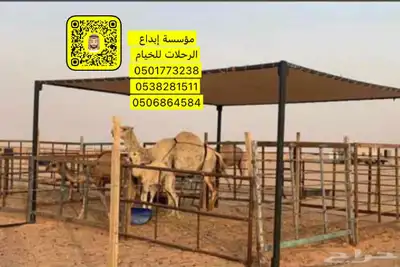 مضلات ابل 13
