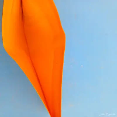 بوك نادي النصر 3