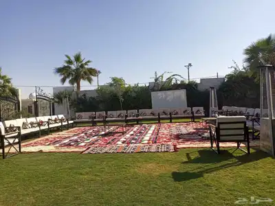 شاشات عرض للايجار 7