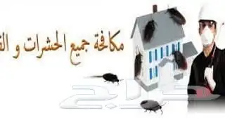 رش مبيد مبيدات حشرية مكافحة حشرات الصراصير وبق الفراش وقوارض 1