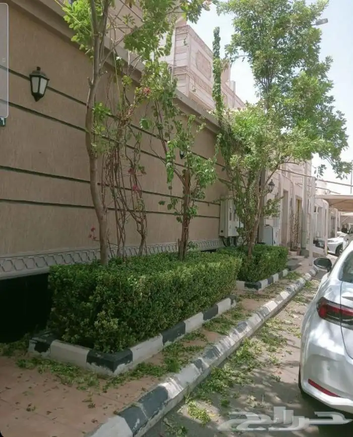 معلم قص اشجار ونخل وتلقيح نخل وتكريب النخيل وتزيين الحديقه 0