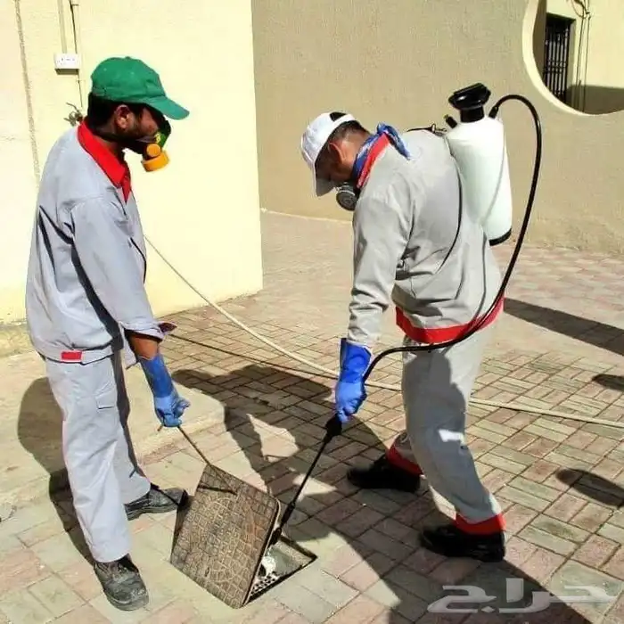 رش مبيد مبيدات حشرية مكافحة حشرات الصراصير وبق الفراش وقوارض 0