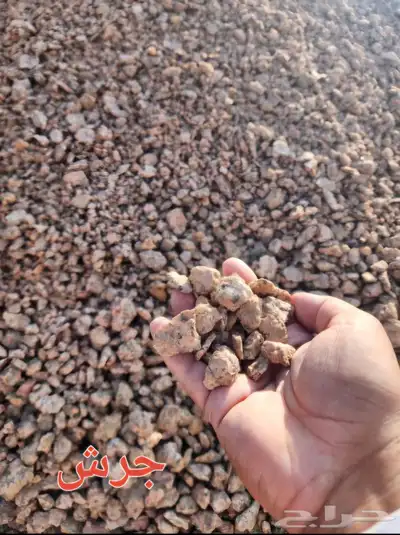 دفان احمر وخرصان 13