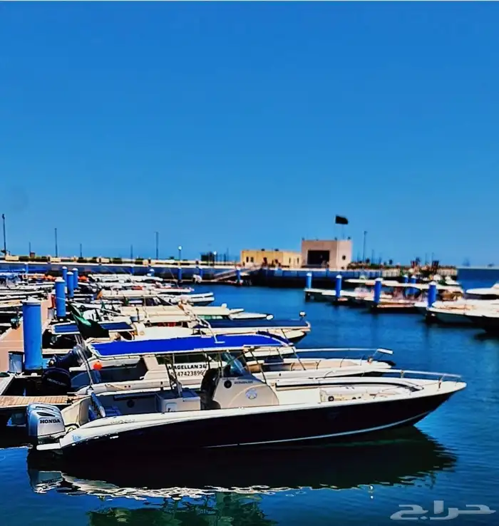 عروض الرحلات البحرية اللعاب سحب 1