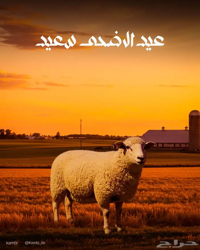 تصميم بوست سوشال ميديا لي عيد الاضحى 0