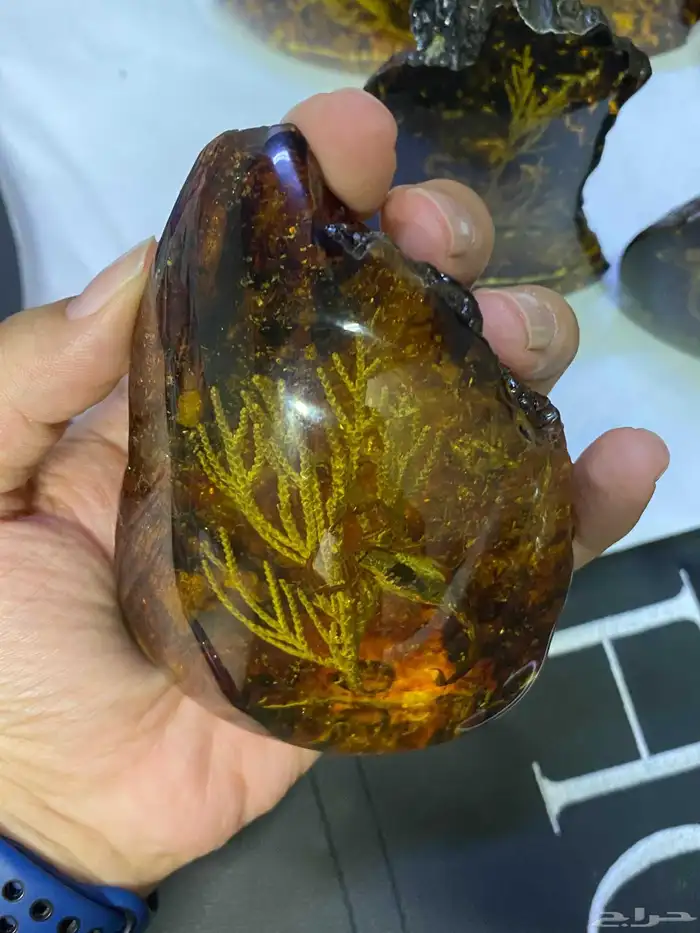 مجسمات ديكورية عقرب ونبته. 16