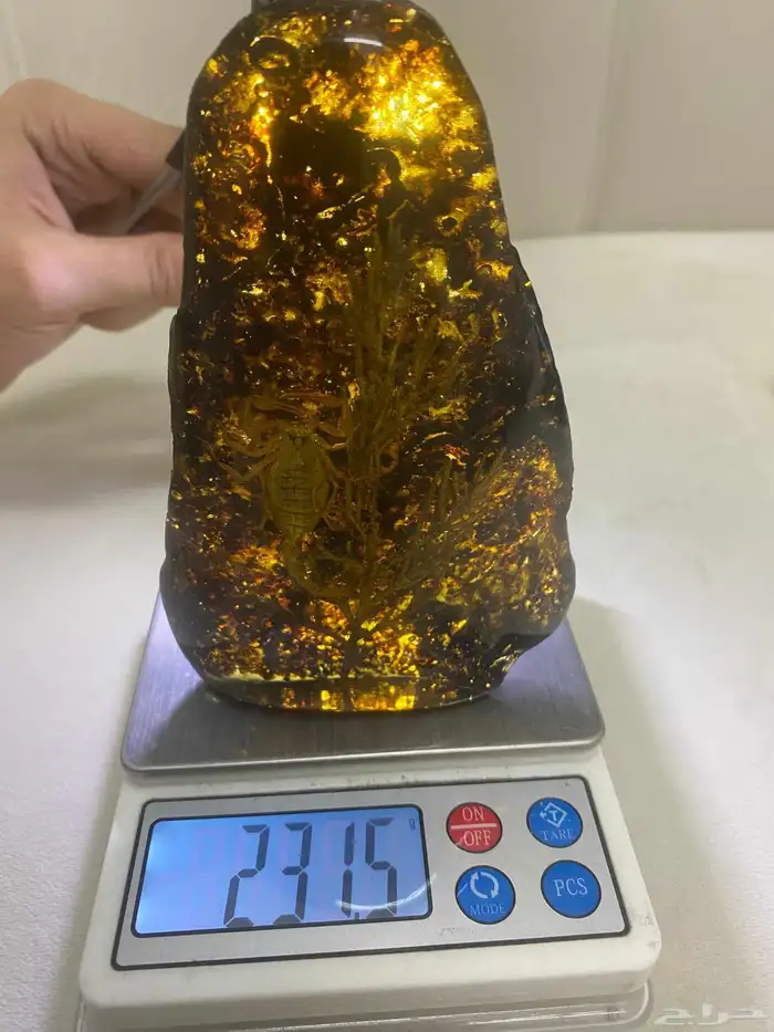 مجسمات ديكورية عقرب ونبته. 12