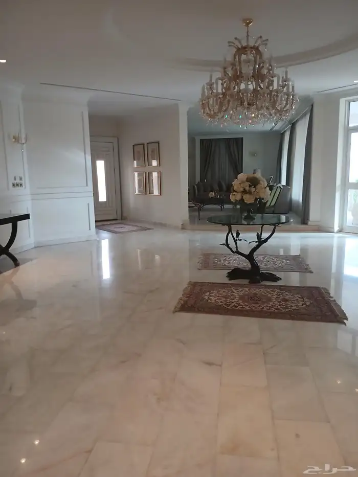 معلم بويه الرياض 17