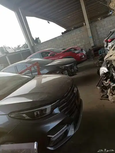 شنجان 95  85  75 2