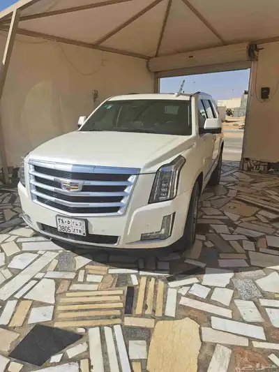 اسكالد مديل 2015 اخو الجديد 1