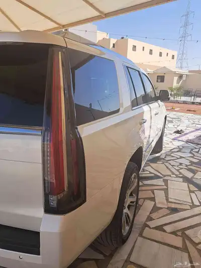 اسكالد مديل 2015 اخو الجديد 8