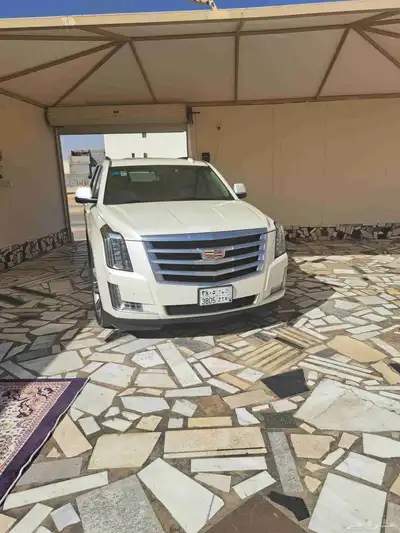 اسكالد مديل 2015 اخو الجديد 4