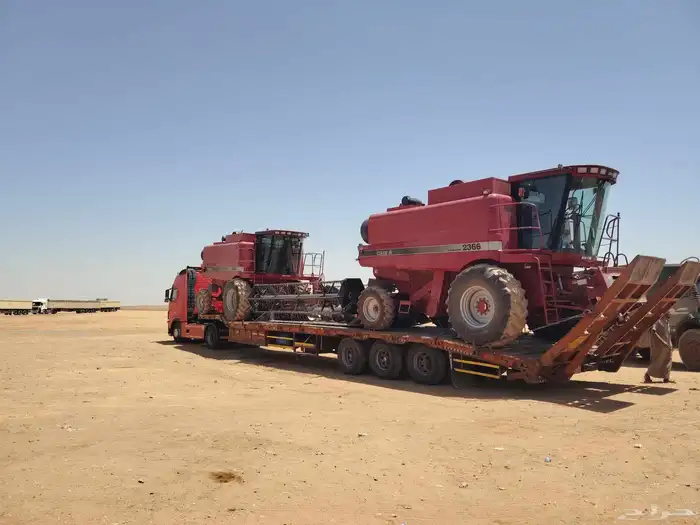 لوبد في الرياض 0