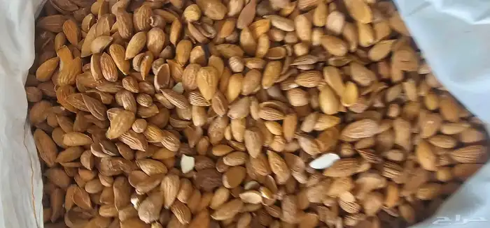 للوز بلدي خولاني زبيب رزقي يمني 2