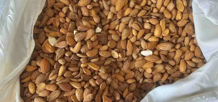 للوز بلدي خولاني زبيب رزقي يمني 1