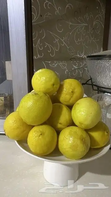 ليمون   بن زهير عضوي القطف بالطلب متوفر أخضر واصفر للمخللات 0