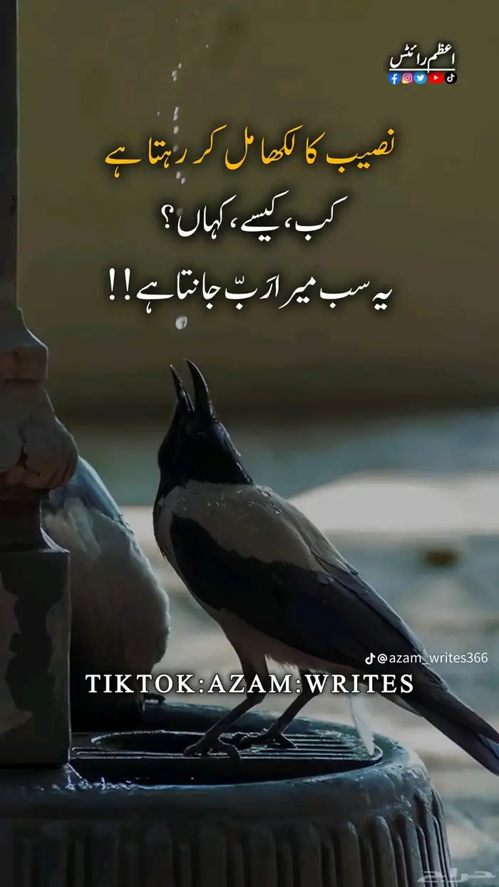 معلم دهان 9
