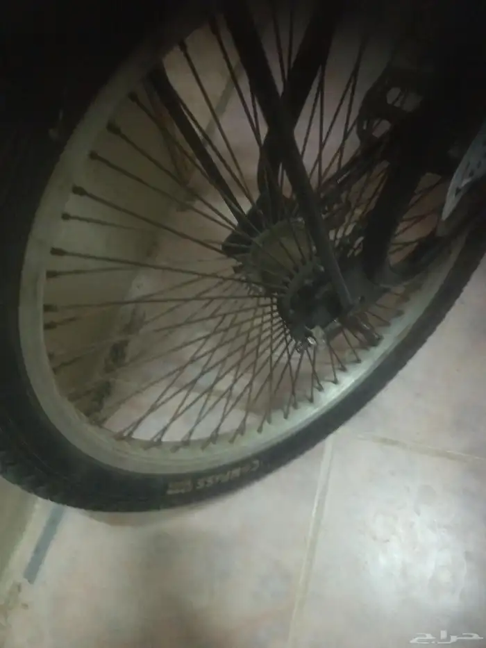 للبيع رامبو مقاس 20 3