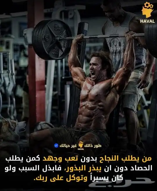 مدرب لياقه بدنيه برايفت بأقل سعر في مكانك 0