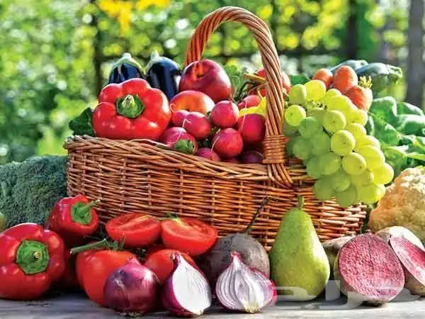 توريد خضار وفواكة بالجملة وتعاقد الفنادق والمطاعم والشركات 1