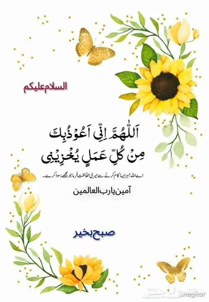 معلم دهان 1
