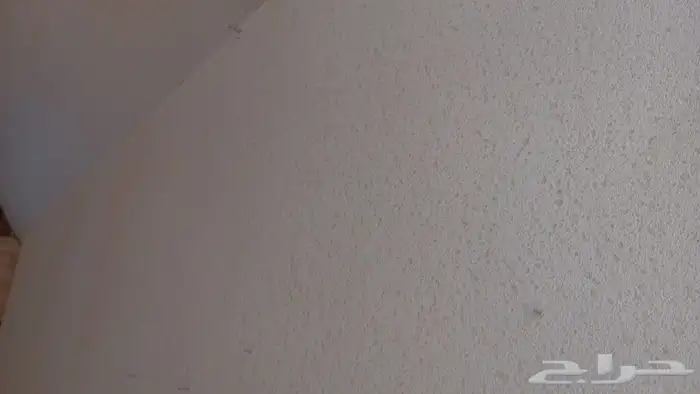 مرابيع وبلكاش 9 ملي وشينكو 3