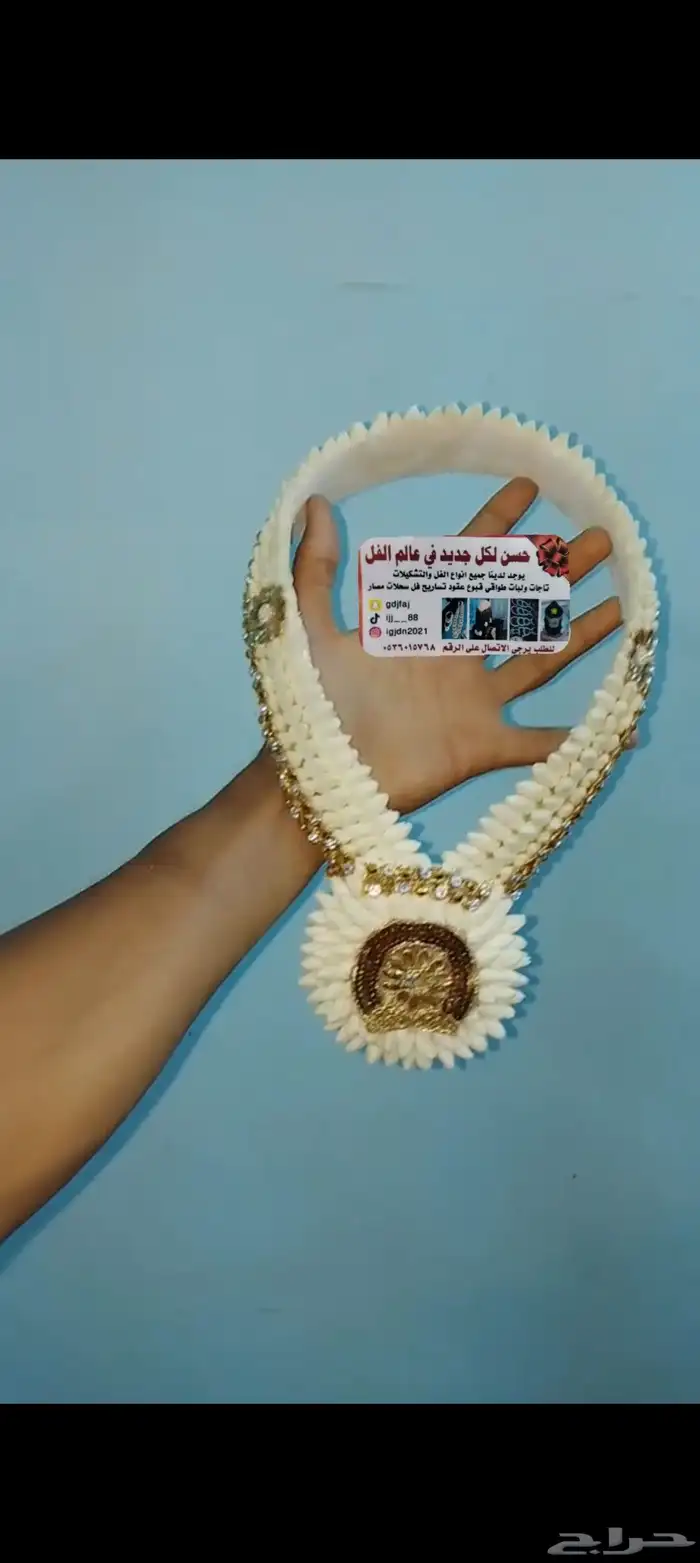فل صبيا  حسن_لكل_جديد_في_عالم_الفل فل_صبيا_فل_القنف 9