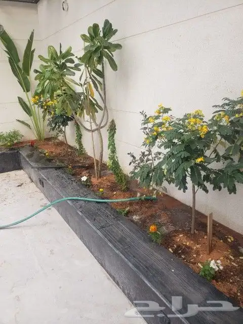 تنسيق حدائق وثيل طبيعي 1