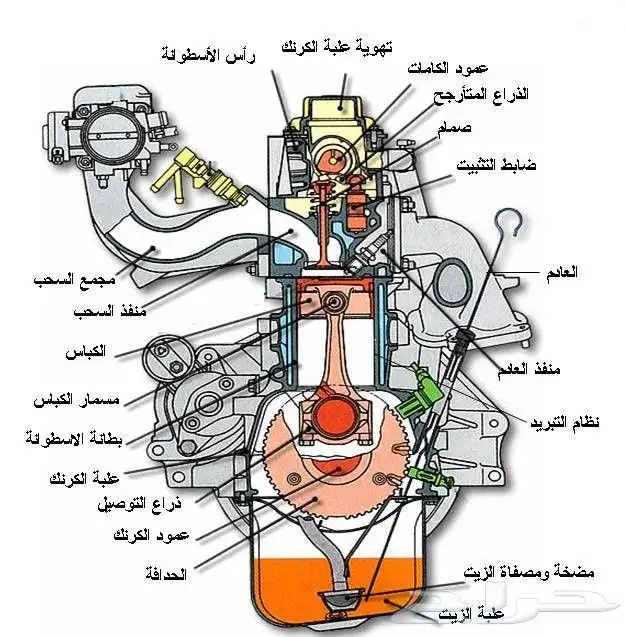 كهربائي شاحنات ومعدات ثقيله. سفري. 5