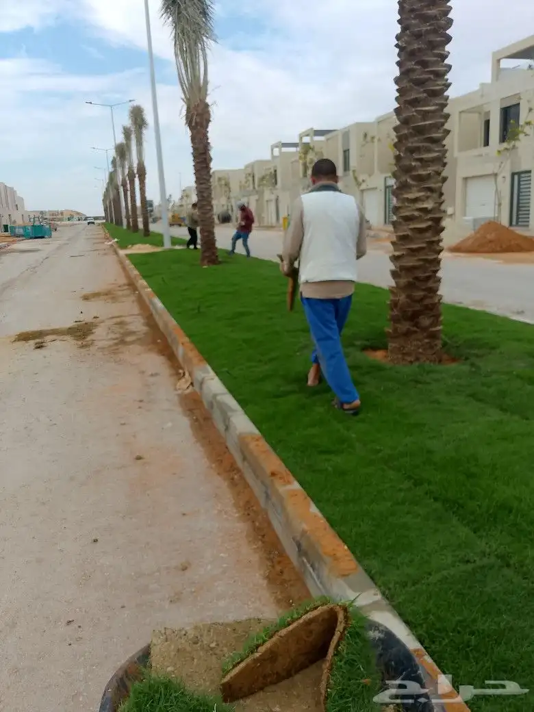 تنسيق حدائق وثيل طبيعي 2